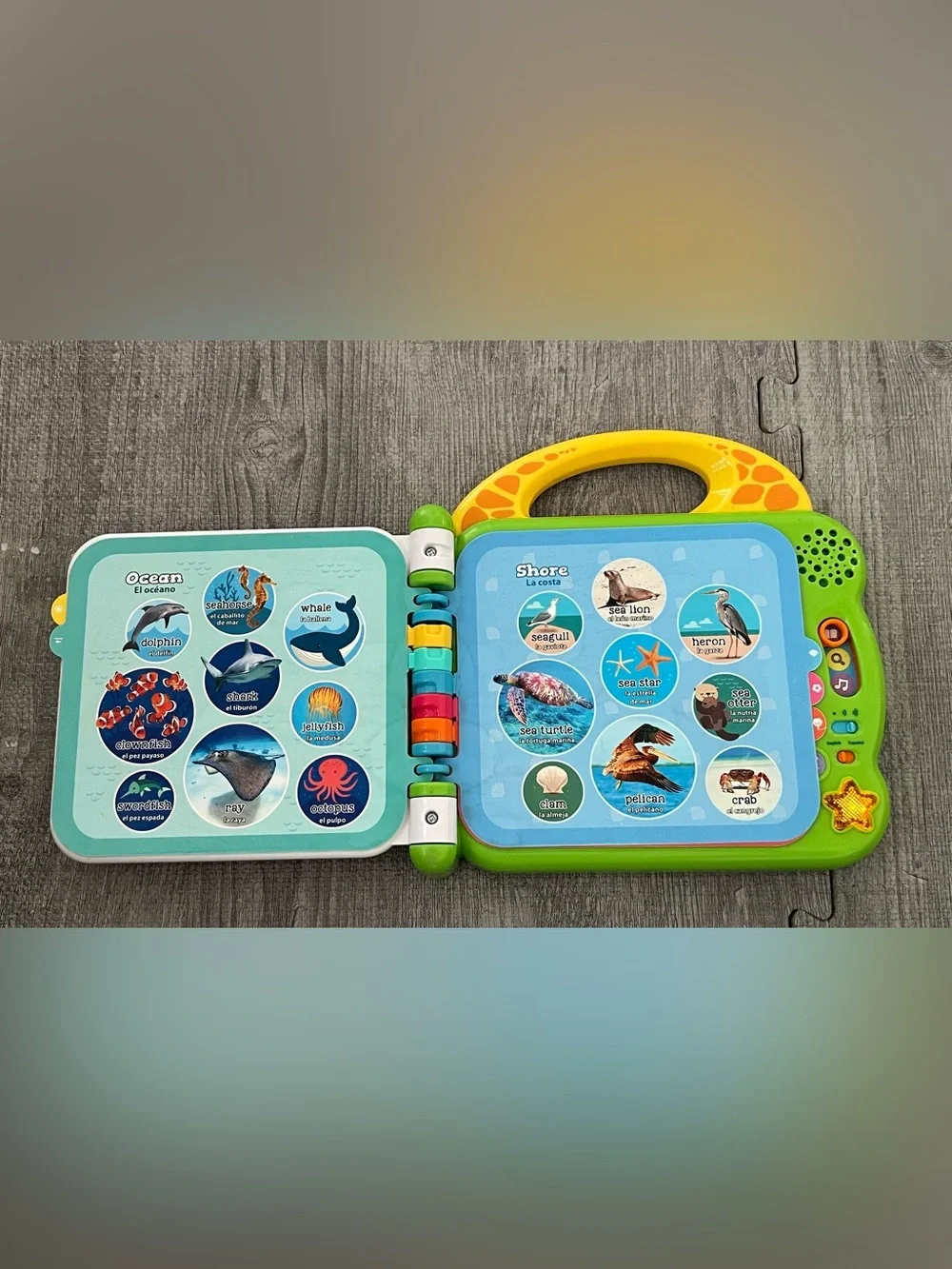 N/A leapfrog 100